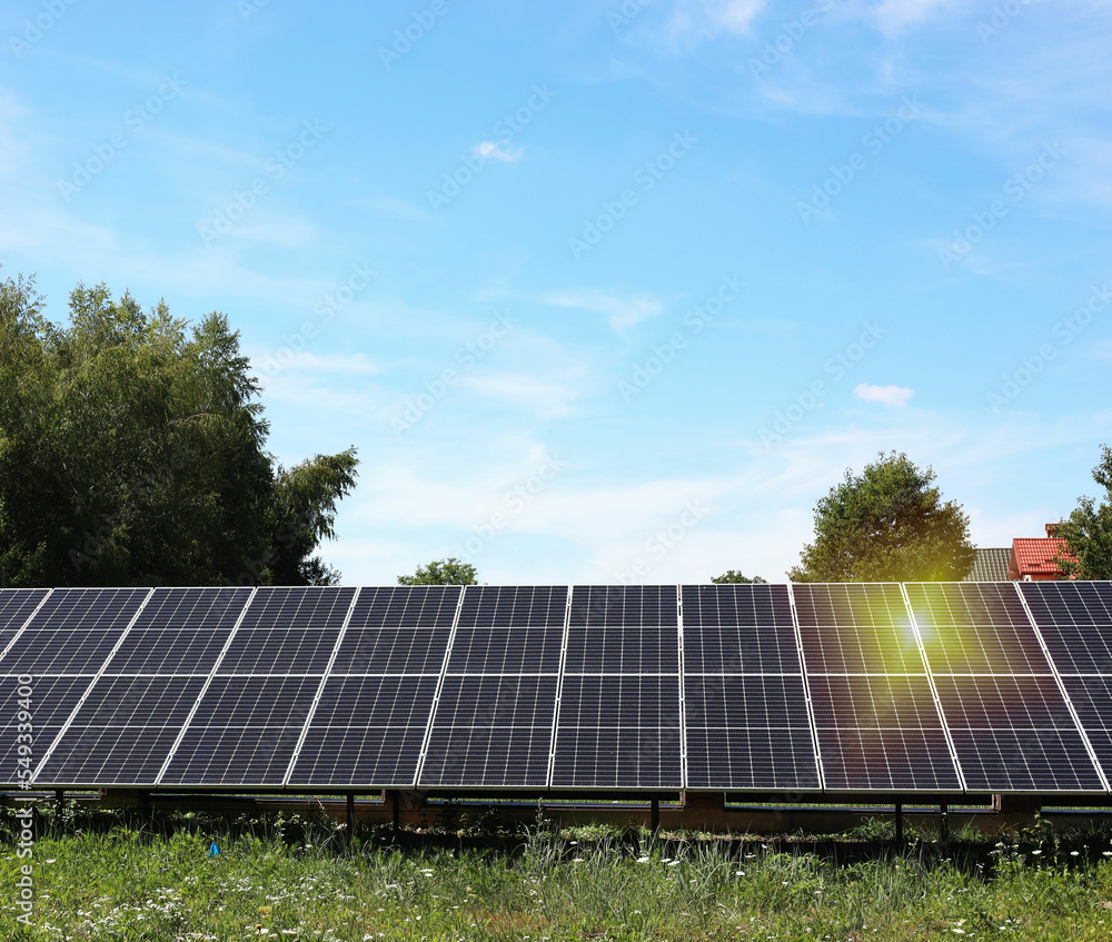 Solar panels near trees under blue sky on sunny day. Alternative energy source