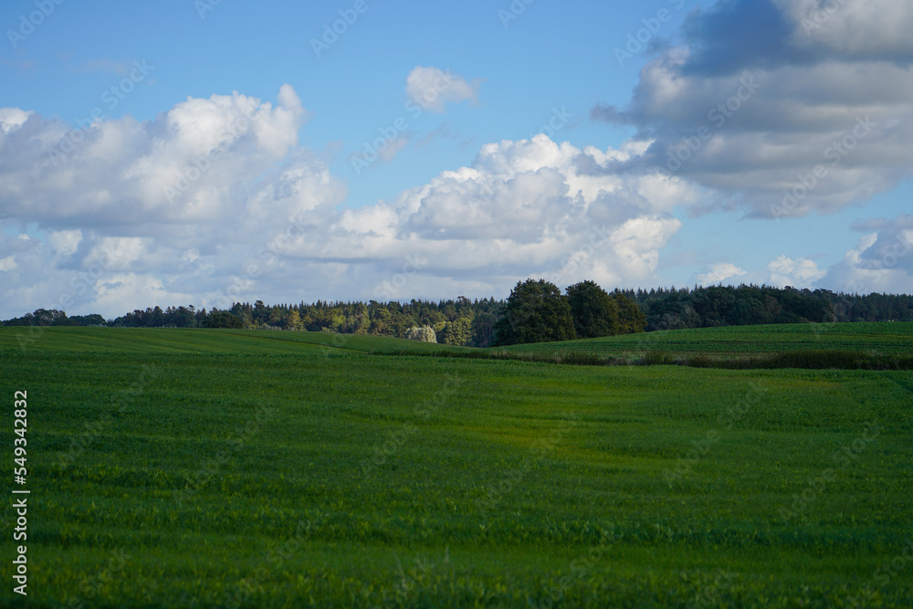 blue and green nature landscape