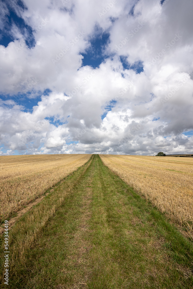 A ploughed field with a path leading to the sky filled with clouds