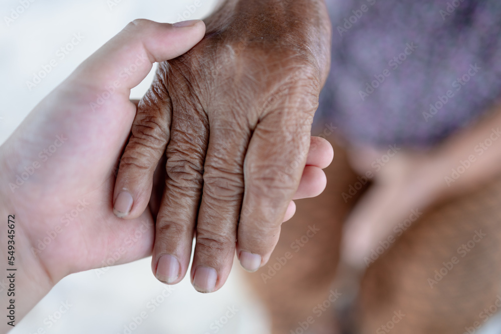 Fototapeta premium boy holding hands with grandma