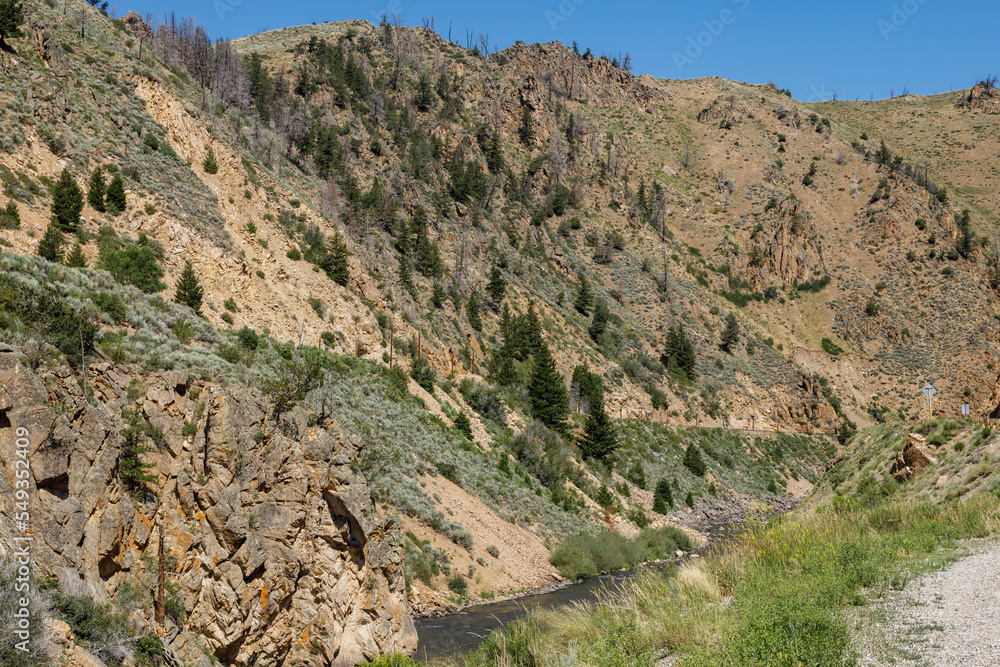 hillside in the summer with a river in the foreground