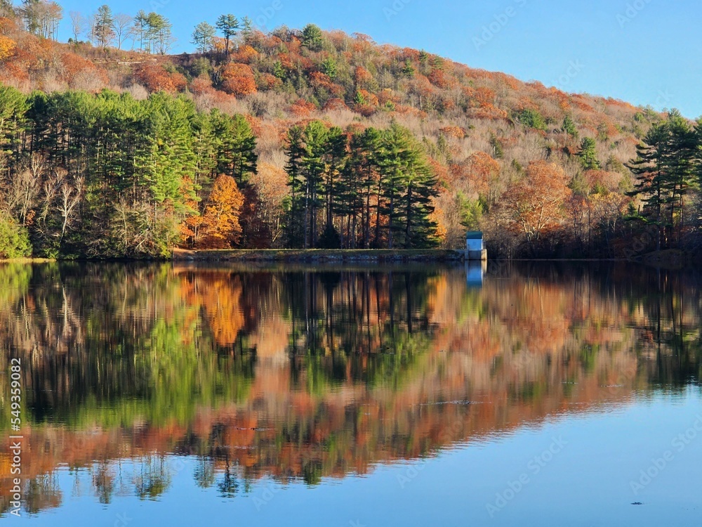 Lake reflection in fall