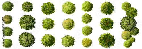  Vector set of tropical green tree side view isolated on white background for landscape and architecture drawing, elements for environment and garden in spring