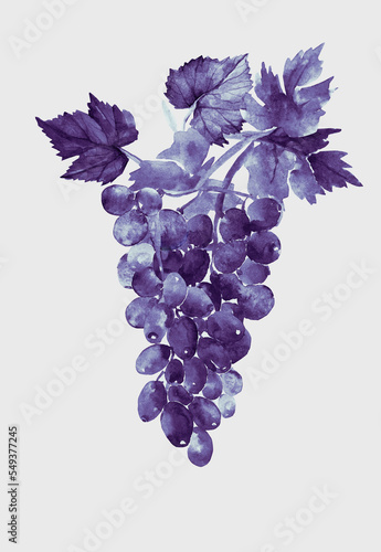 Watercolor pattern of grapes and leaves.Pattern.Image on white and colored background.