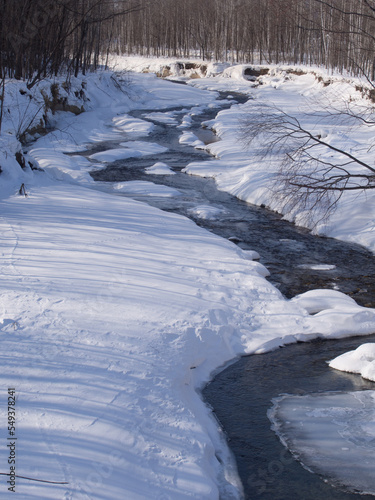 冬の川辺の風景