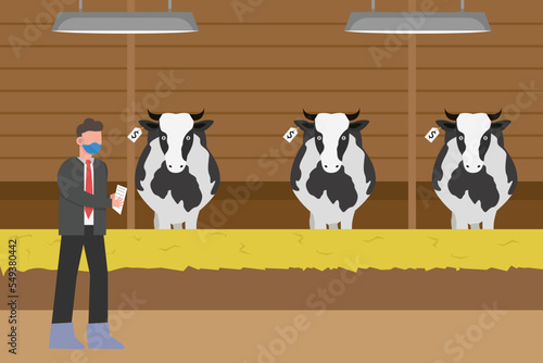 Businessman looking at cattle with price tag