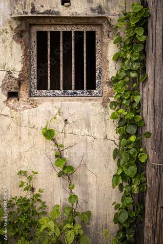 Window with bars in an abandoned concrete building photo