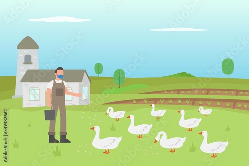 Male worker giving food to his animals in the farm. Livestock illustration concept