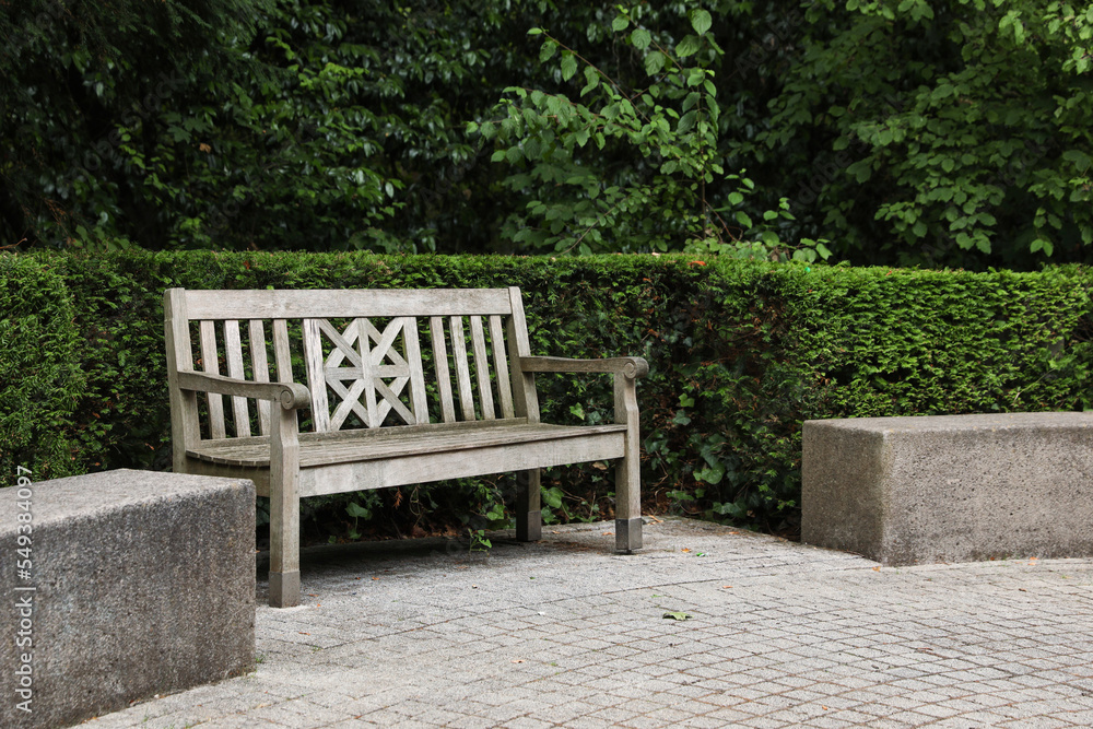 Stylish wooden bench and green plants in beautiful garden Stylish wooden bench and green plants in beautiful garden