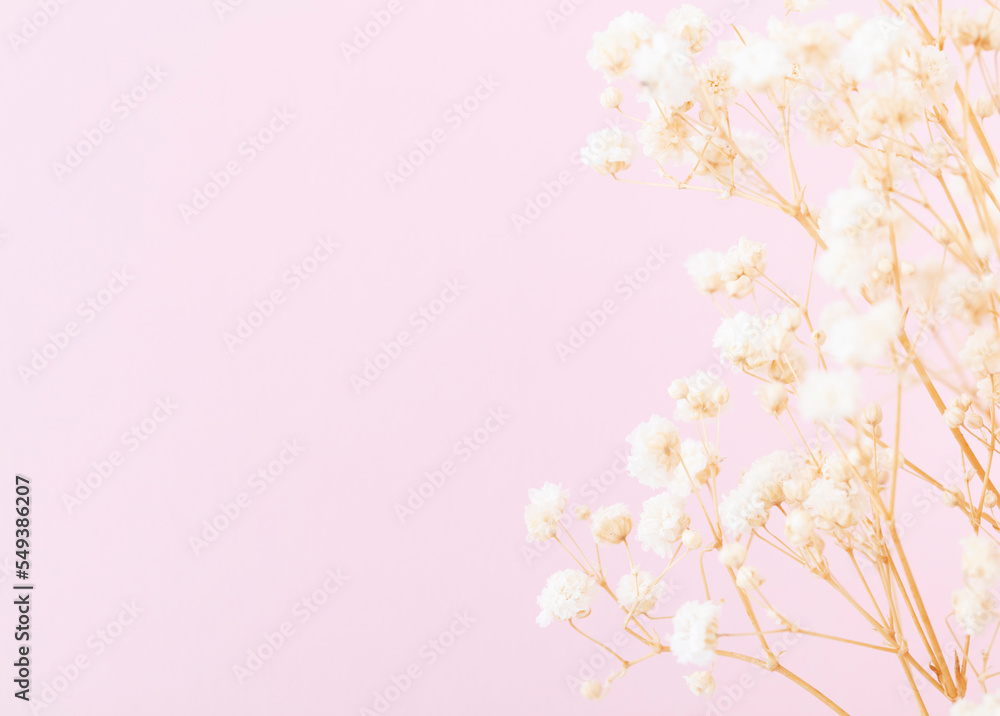 Beautiful flower background of pastel gypsophila flowers. Flat lay, top view.