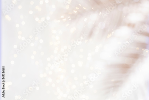 Shiny gradient background with golden palm leaf and bokeh.