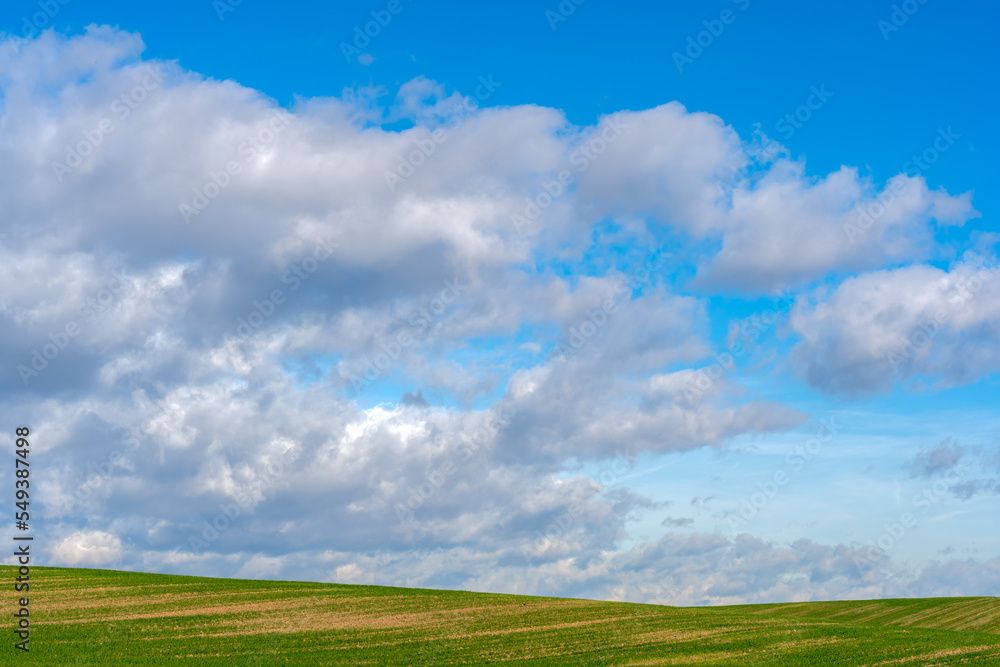 Incredible wallpaper of a green meadow with a blue sky covered with fluffy white clouds