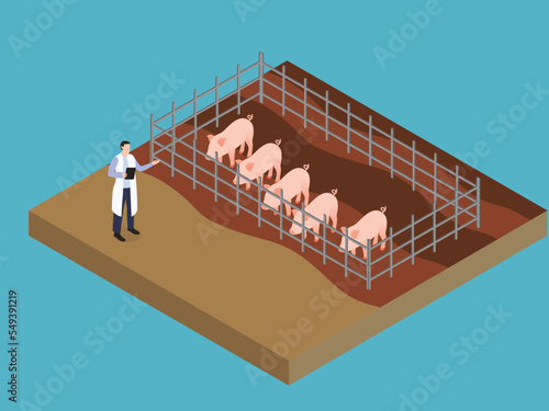 Male veterinarian working at the farm pig vector illustration