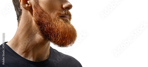 Canvas Print Perfect beard close-up