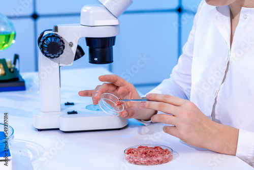 woman in food control laboratory examining minced meat samples for toxins and parasites photo