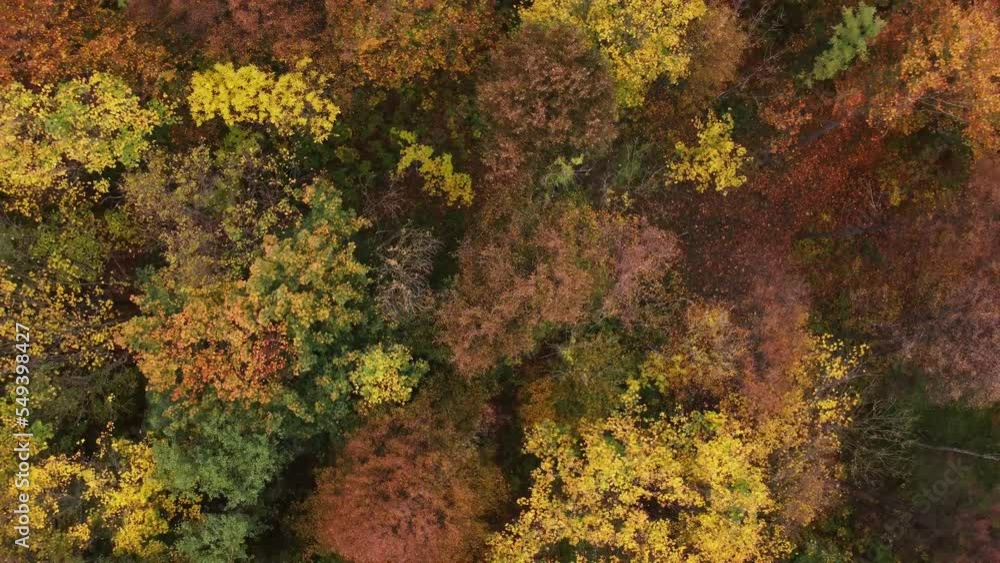 Aerial view of the landscape playing with all the colours of the autumn season during a warm sunset. Deciduous trees playing in yellow, orange, red and green. Lungs of the earth. 4k video Aerial view of the landscape playing with all the colours of the autumn season during a warm sunset. Deciduous trees playing in yellow, orange, red and green. Lungs of the earth. 4k video