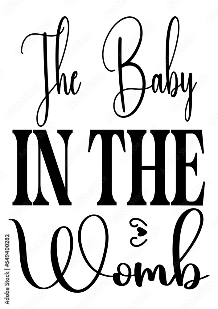 the baby in the womb the baby in the womb