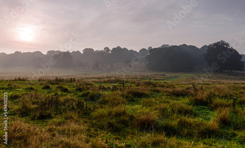 morning mist over the field  Hardwick Park