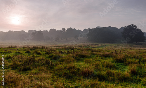 morning mist over the field, Hardwick Park photo