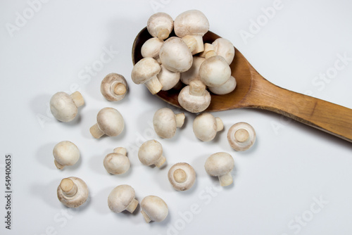 Small champignons on a white background. Mushroom variety