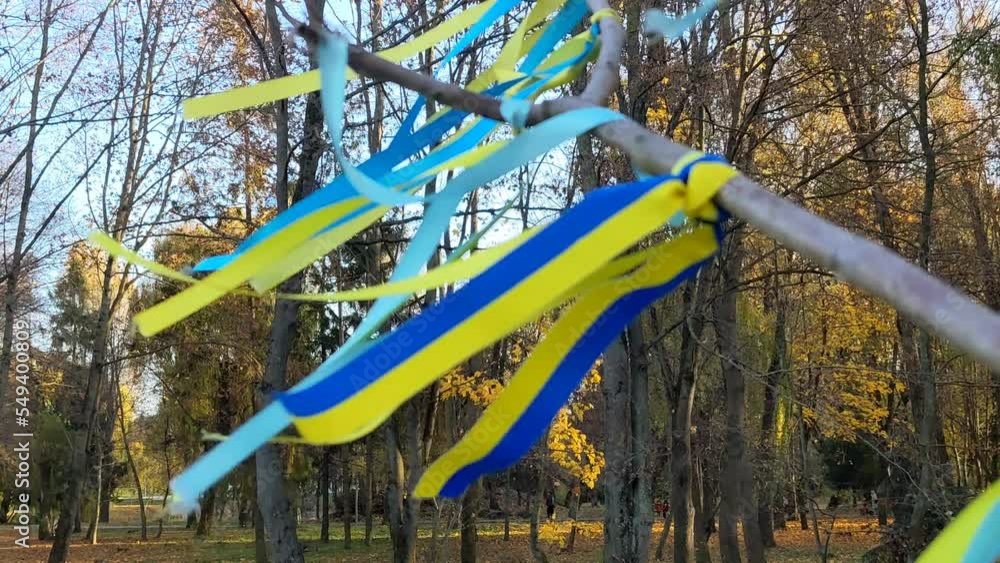 Ribbons in the colors of the national flag of Ukraine. Symbol of the Maidan, resistance and war in Ukraine. Tapes of the Ukrainian symbolism. Shallow depth of field, selective focus Ribbons in the colors of the national flag of Ukraine. Symbol of the Maidan, resistance and war in Ukraine. Tapes of the Ukrainian symbolism. Shallow depth of field, selective focus