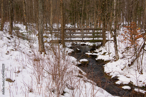 River with bridge in the Canadian forest after the first snows of November. Province of Quebec