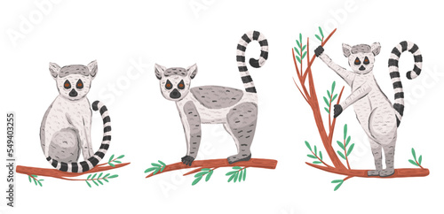 Set with ring tail lemur in cartoon style