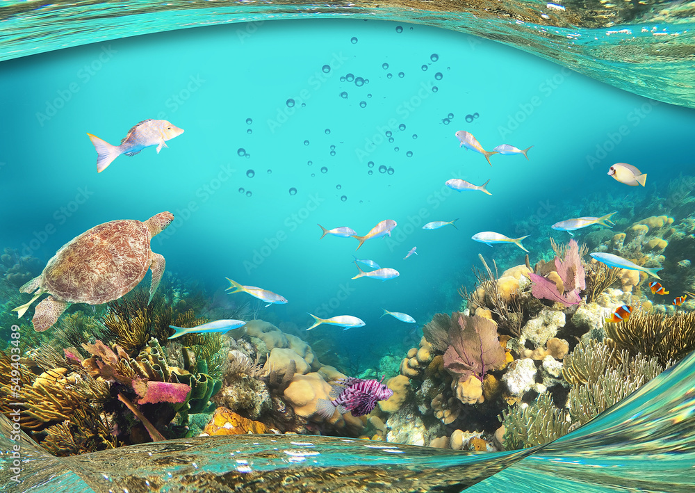 Obraz premium Colorful coral reef with many fishes. Art design of Caribbean Sea - travel concept and save ocean life concept