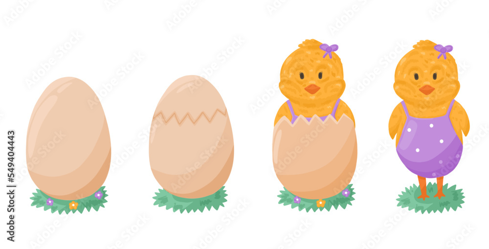 Set with newborn chick and hatched egg in cartoon style