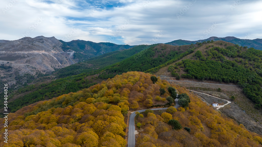vista aérea del bosque del cobre en el valle del Genal, España