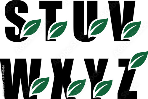 alphabet letters with natural leaves
