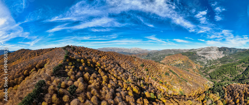Panorámica del frondoso bosque del cobre en el valle del Genal, España