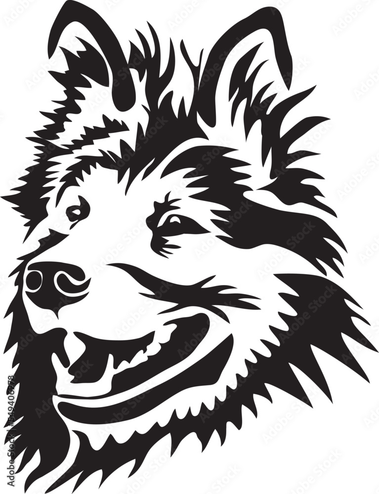 Obraz premium Bohemian Shepherd Head - stylized vector illustration