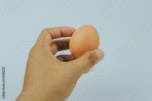 a chicken egg in the palm of your hand. photo