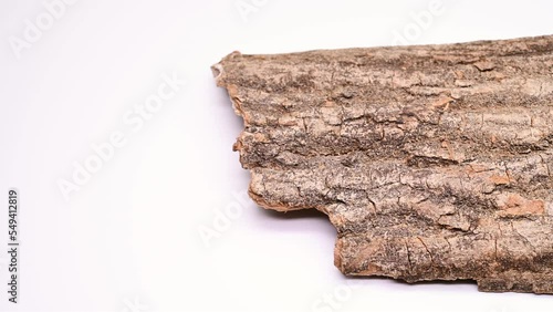 angle pan big piece of herb DuZhong or Eucommiae Cortex or Eucommia Bark at horizontal composition photo