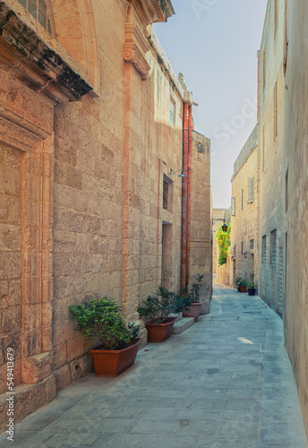 Fototapeta Naklejka Na Ścianę i Meble -  Malta Mdina. The narrow street leads along lines of old medieval stone edifices 
