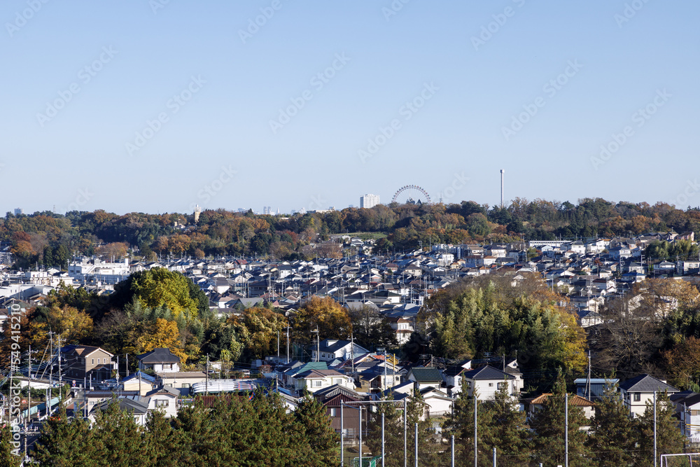 Obraz premium 青空を背景に狭山湖の堰堤から見た東京都心方面の景色