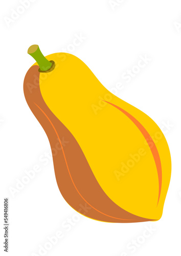 Papaya Fruit