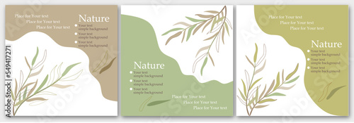 Vector illustration. Set of 3 simple backgrounds, nature design, leaves, in green, olive, beige colors. Packaging design, eco style, organic products