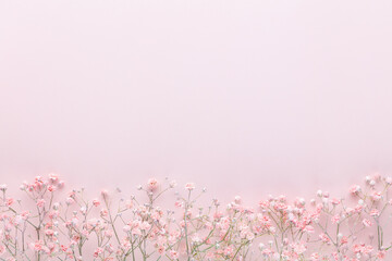 Beautiful flower background of pink gypsophila flowers. Flat lay, top view. Floral pattern.