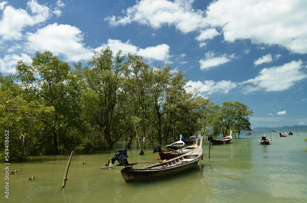 Fishing boats on a sea bay Thailand in low tide. Tropical island, mangrove trees, beautiful thai seascape with long tail boats Fishing boats on a sea bay Thailand in low tide. Tropical island, mangrove trees, beautiful thai seascape with long tail boats