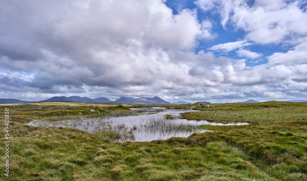 Bog and heather landscape in Conemara, County Galway, Republic of Ireland