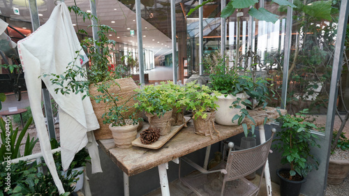Plant Greenhouse Garden