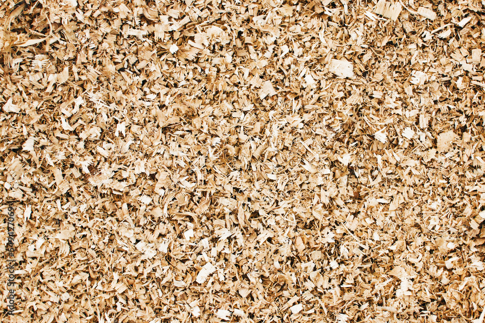 Wood chips texture. Pile of dry woodchips. Sawdust background. Biomass pattern. Brown chopped tree background. Wood chips texture. Pile of dry woodchips. Sawdust background. Biomass pattern. Brown chopped tree background.