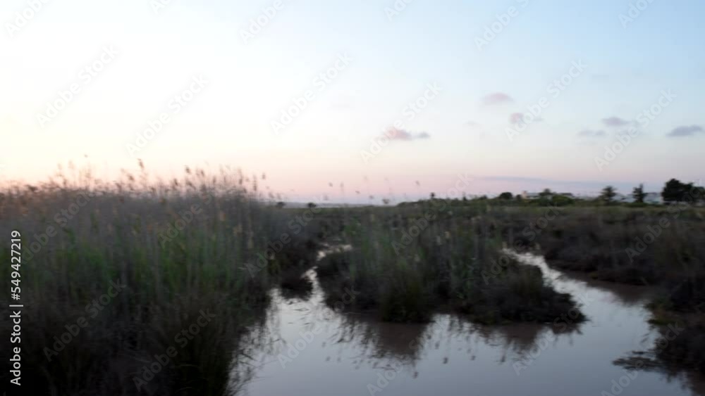 Muddy lake with lots of vegetation with houses on the other side Muddy lake with lots of vegetation with houses on the other side
