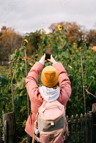 Woman taking photo of sunflowers