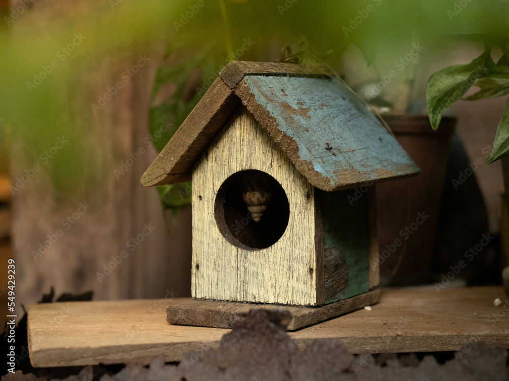 Wooden little house for bird have snail in the house with blur foreground and warm light.