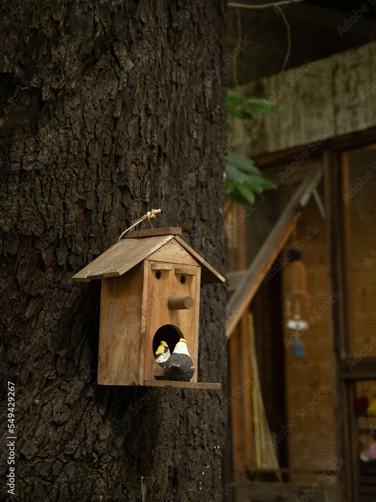 wooden bird house stick at the tree
