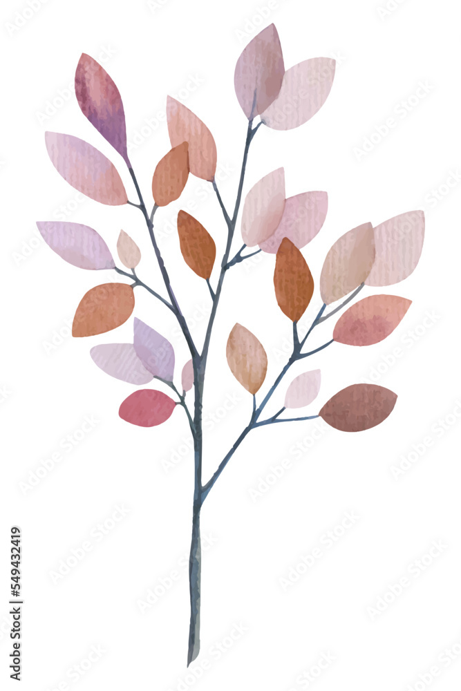 Hand Drawn Watercolor branch. Natural decorative branch single element collection. Isolated on white background.
