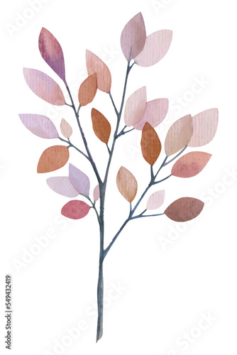 Hand Drawn Watercolor branch. Natural decorative branch single element collection. Isolated on white background.